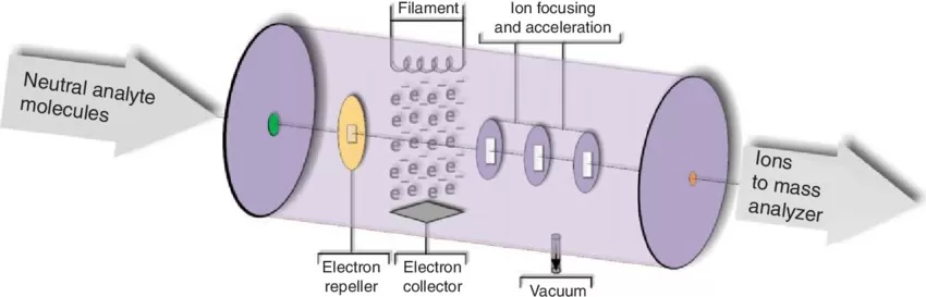 Electron Ionization (EI) Source Schematic Diagram